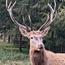 Jógový víkend s Petrou Špindlerovou ve Studenci
